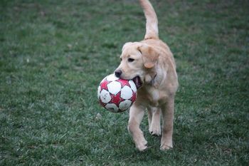 Let's play!
