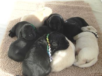 Two week Group Picture
