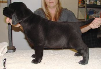 6 weeks
